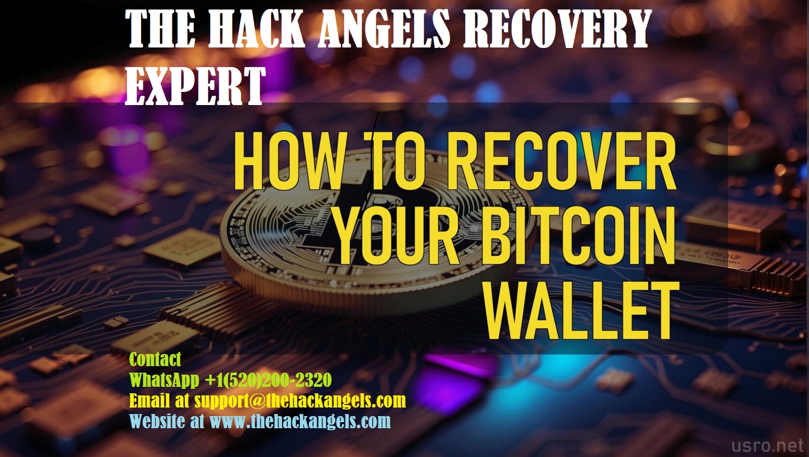 how-to-recover-your-bitcoin-wallet-1600x905