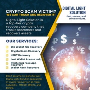Group logo of HIRE A FINANCE RECOVERY EXPERT ONLINE 2025/ DIGITAL LIGHT SOLUTION